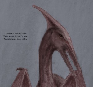 Gitmo Pterosaur sketched by eyewitness Patty Carson